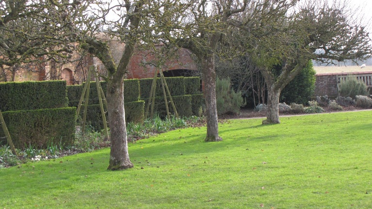 A view of the clipped hedges in the wintry Walled Garden at Baddesley Clinton, Warwickshire